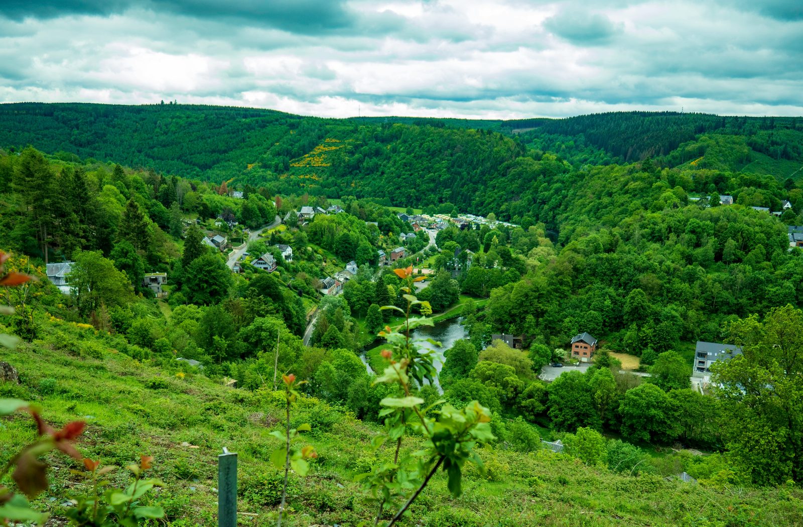 Bosweg in de Ardennen, onderweg met de camper