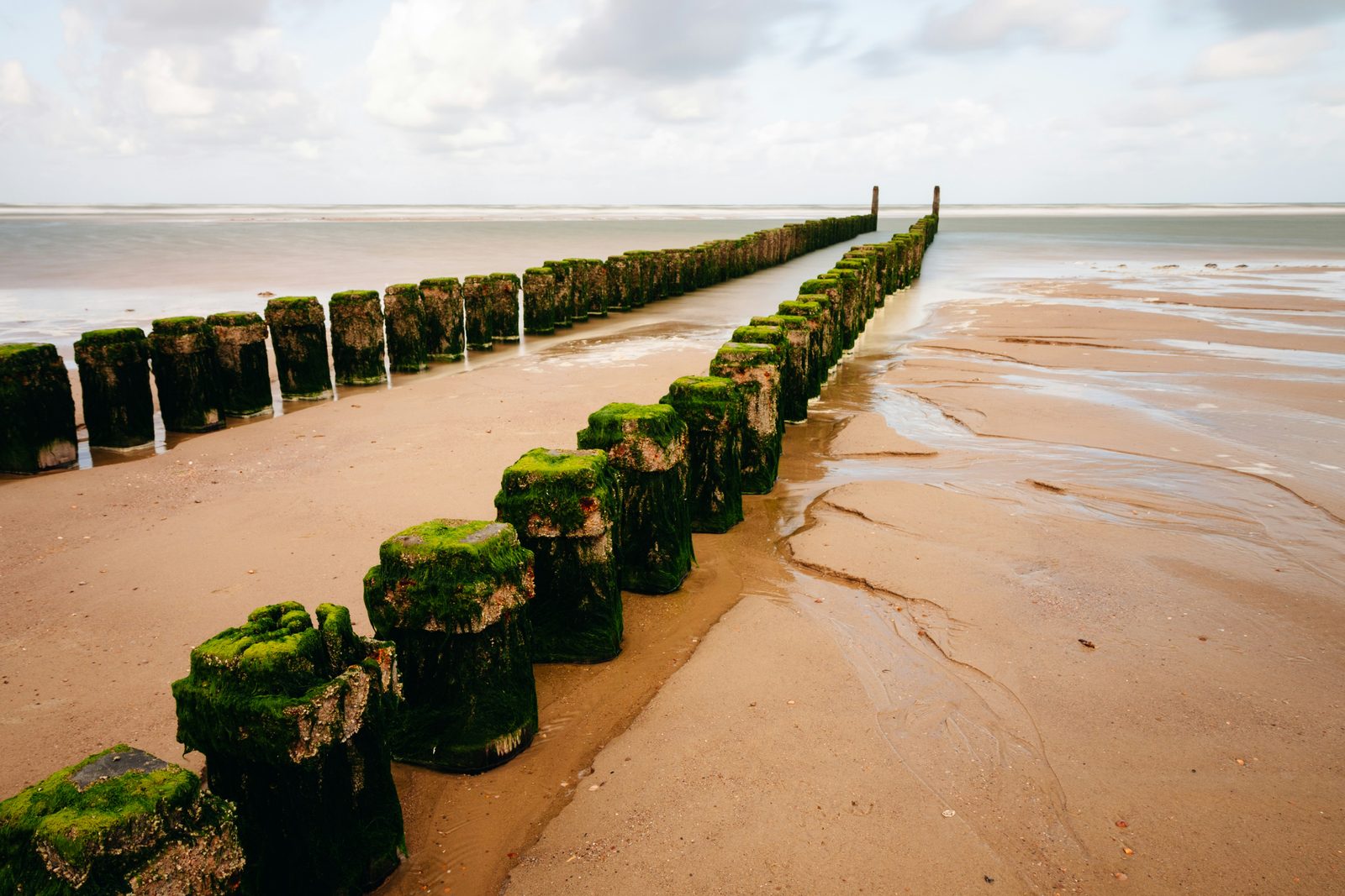 Zeeuwse kust met breed strand en duinen tijdens een camperroadtrip