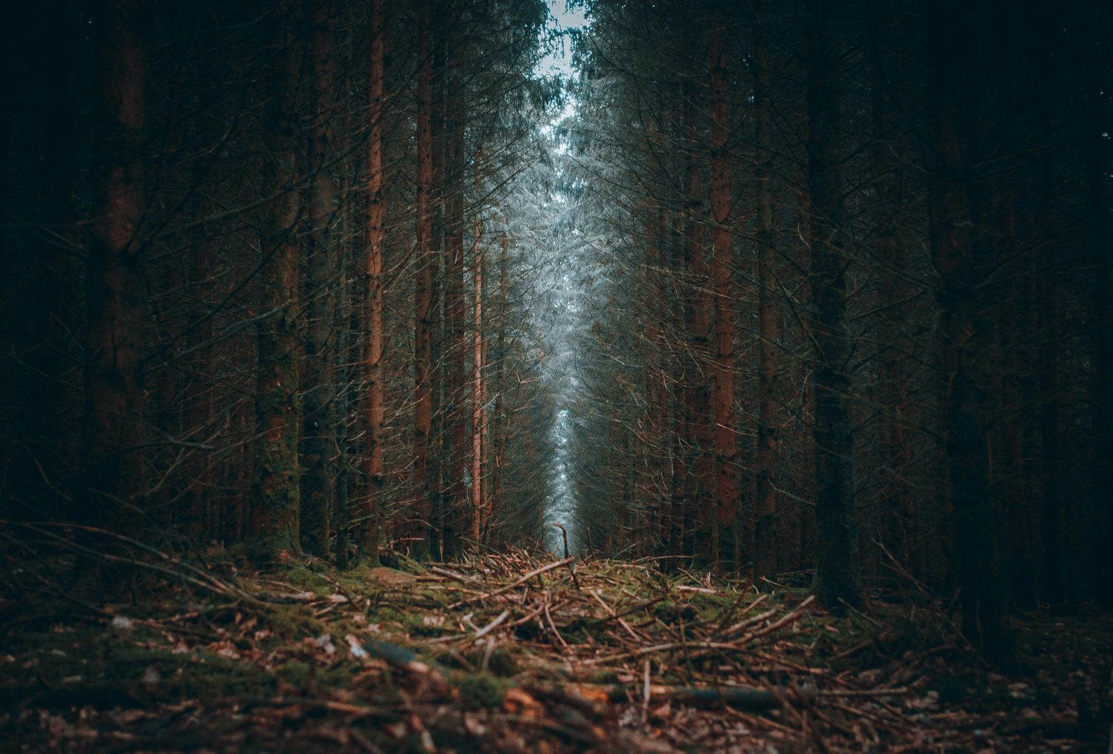 Dorpje tussen de heuvels in de Ardennen