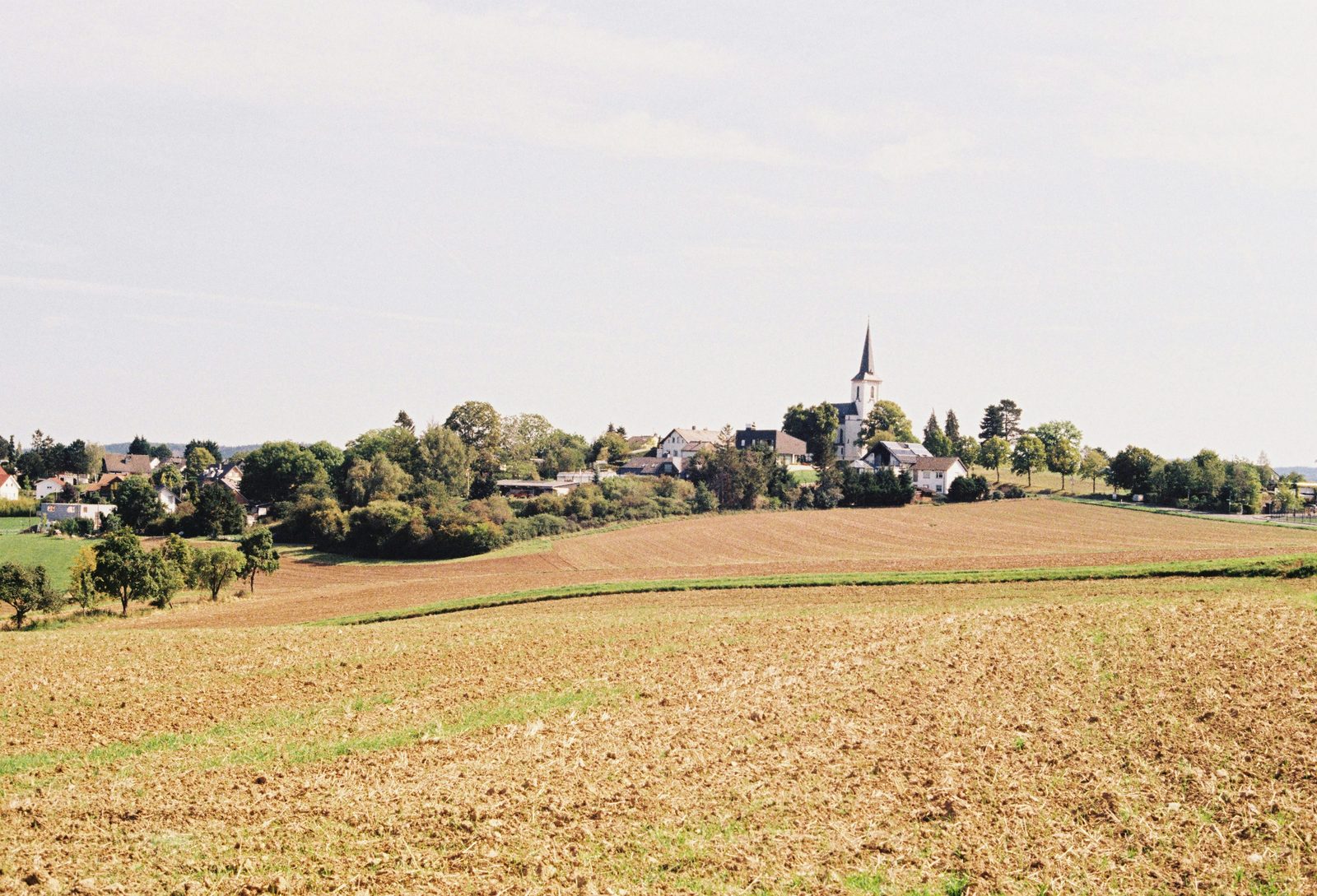 Landschap in de Eifel met glooiende velden en bos